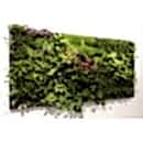 SUNİ BİTKİ DUVARLAR SUNİ BİTKİ DUVARLAR