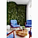 SUNİ BİTKİ DUVARLAR SUNİ BİTKİ DUVARLAR