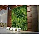 SUNİ BİTKİ DUVARLAR SUNİ BİTKİ DUVARLAR