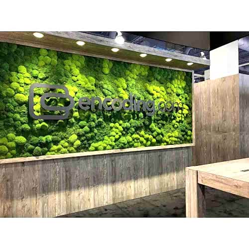 YOSUN DUVAR - Provans Yosunu Dekoratif Duvar Kaplaması