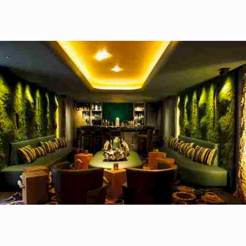 YOSUN DUVAR - Gerçek Yosunla Duvar Kaplaması