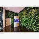 SUNİ BİTKİ DUVARLAR SUNİ BİTKİ DUVARLAR