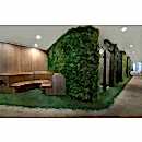 SUNİ BİTKİ DUVARLAR SUNİ BİTKİ DUVARLAR