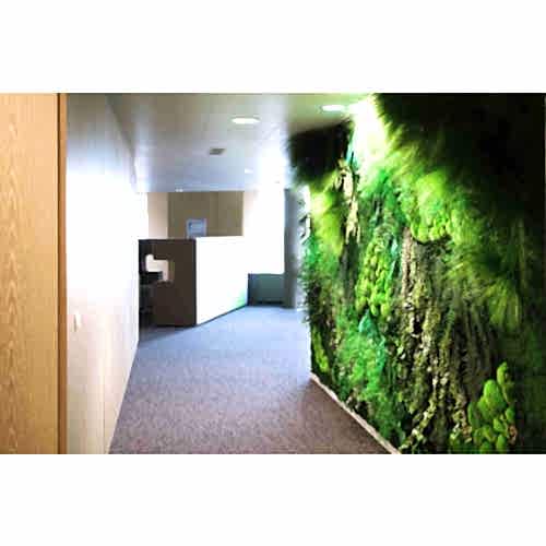 DİKEY BAHÇE DUVAR - Yağmur Ormanı Görüntüsünde Duvar DİKEY BAHÇE DUVAR - Yağmur Ormanı Görüntüsünde Duvar