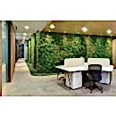 SUNİ BİTKİ DUVARLAR SUNİ BİTKİ DUVARLAR