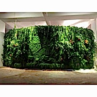SUNİ BİTKİ DUVARLAR - Yapay Bitkilerle Orman Görünümlü Duvarlar