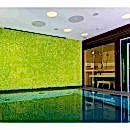 LICHEN YOSUN DUVAR LICHEN YOSUN DUVAR