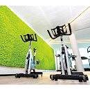 LICHEN YOSUN DUVAR LICHEN YOSUN DUVAR