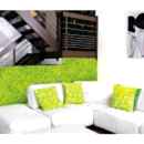 LICHEN YOSUN DUVAR LICHEN YOSUN DUVAR