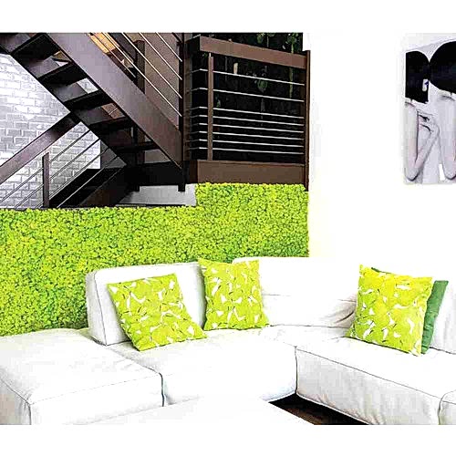 LİKEN YOSUN DUVAR - Gerçek Yosunla Yaratılan Duvar Desenleri