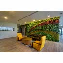 SUNİ BİTKİ DUVARLAR SUNİ BİTKİ DUVARLAR