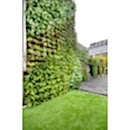 SUNİ BİTKİ DUVARLAR SUNİ BİTKİ DUVARLAR