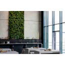 SUNİ BİTKİ DUVARLAR SUNİ BİTKİ DUVARLAR