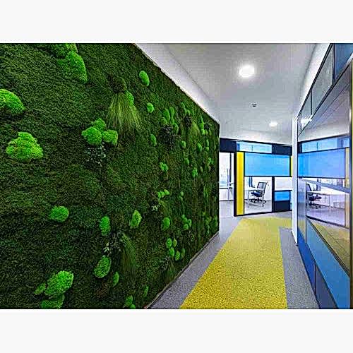 YOSUN DUVAR - Yerli Üretim Yosun ve Top Yosun Karışımı Duvar Kaplaması