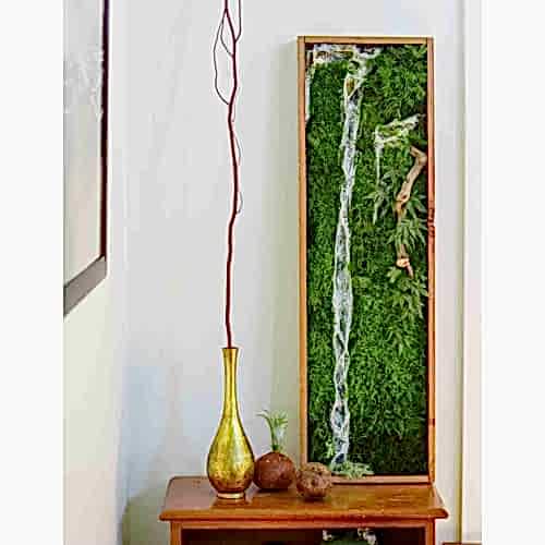 DİKEY BAHÇE DUVAR - Sık Orman Bitkileriyle Kaplı Duvar