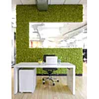 YOSUN DUVAR - Şoklanmış Yosun Ürünleriyle Duvar Kaplamaları