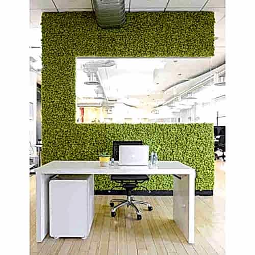 YOSUN DUVAR - Şoklanmış Yosun Ürünleriyle Duvar Kaplamaları